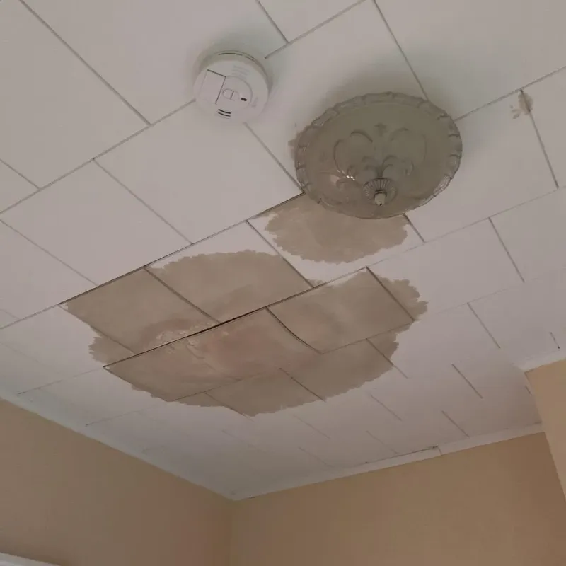 Ceiling Water Damage Repair in Southeast Arcadia, FL